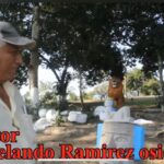 Oaxaca suma nuevas medallas en taekwondo, atletismo y ciclismo en la Olimpiada Nacional Conade 2025