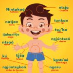 Veracruz está de moda: música, cultura y tradición del 22 al 28 de septiembre